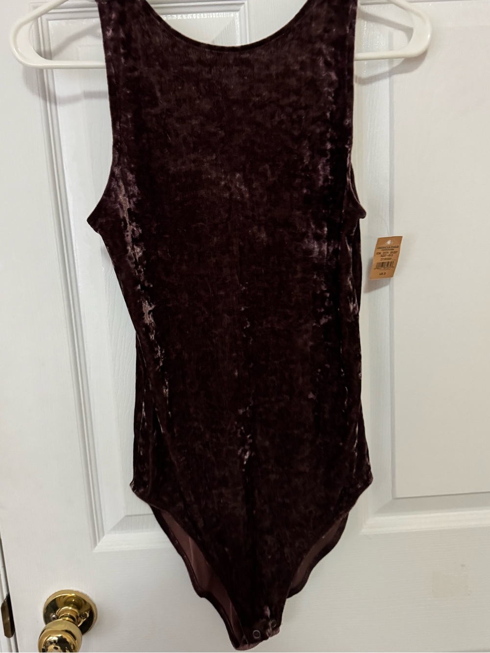 American Eagle Outfitters Velvet Sleeveless Bodysuit - Burgundy